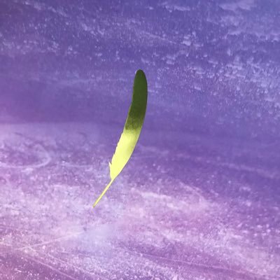 気軽に「てって!」と呼んで下さい🥰 花郎でVを知り、そこからどんどんBTSにハマっていきました💜今では7人それぞれに💖pointが❣️ 無言フォロー大歓迎!無言フォロー失礼します🙇♀️