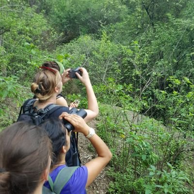 Updates from agroforestry research projects #ECOCACAO & #ECOOLIVES by agroecologist @MaasBea et al
| Own views only