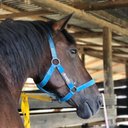 Valentina Luque - @Valenti17339858 - Twitter