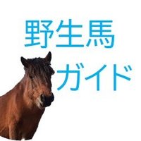 都井岬ファンクラブ (@misakiuma_guide) 's Twitter Profile