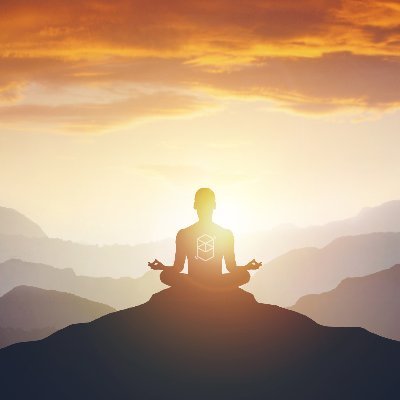 tringuyen_'s profile picture. #sui #azero #near #fud