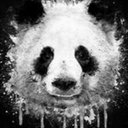 Peter Herbert - @PeterHe73004112 - Twitter