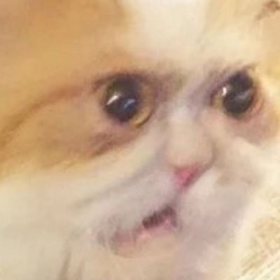 tourmalinoid's profile picture. 