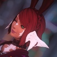 Petra (@sobbbaa) 's Twitter Profile