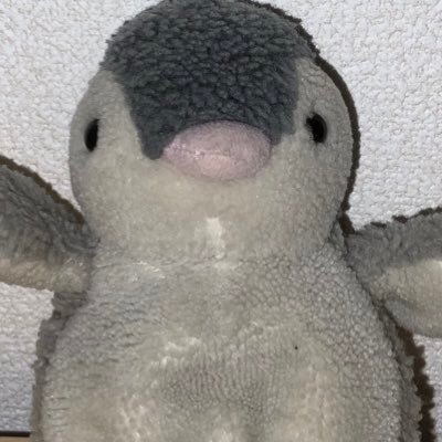パフォーマンス作家。特撮とペンギンが好きです。遊びとジャンクに関心があります。執筆もできます。連絡はiyuukii1015@gmail.comまで