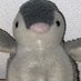 石田裕己🐧🌏⚡️ (@onoren2001) Twitter profile photo 石田裕己🐧🌏⚡️ (@onoren2001) Twitter profile photo