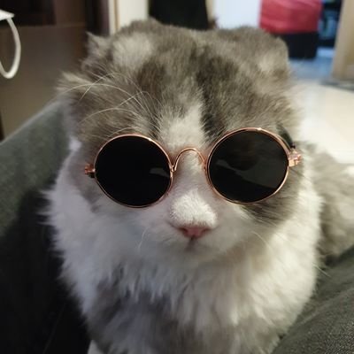 VictorTCJ17's profile picture. 