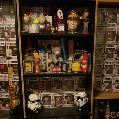 Collector of Funko's, and Vinyl Records. 700+ funkos collected,providing daily to weekly content over specific funkos, opinions and topics to collectors!