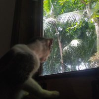 asdfghjkl (@aamelieex) 's Twitter Profile