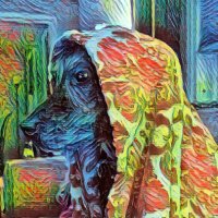 Big Country (@bigcountrynft) 's Twitter Profile