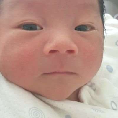 freemero4's profile picture. Marine technical superintendent