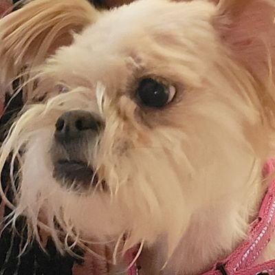 moriさんのプロフィール画像