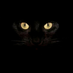 Mohamed Hmam (@mohamed13709551) Twitter profile photo Mohamed Hmam (@mohamed13709551) Twitter profile photo