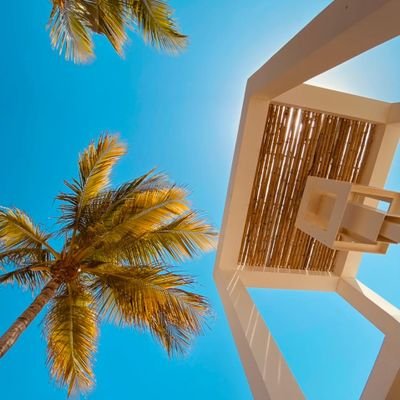 Ims_Alhassni's profile picture. ❤️اترك مسافة كافية بينك وبين الاخرين❤️