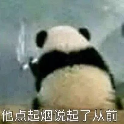 Wiktionary42's profile picture. 普通人