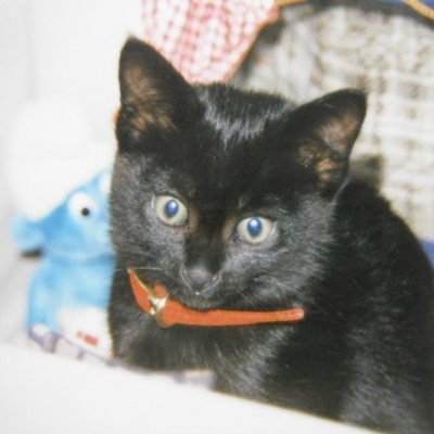 meit10's profile picture. イラスト描き(#コピック #copic 油性色鉛筆)
プロ野球：日本ハム（'86～）、広島('96頃から）、ヤクルト('90~)
裏金を有耶無耶にしたり、歴史を改竄したり、差別主義で排他的、他党の政策を表面だけコピー、目先の票の為に嘘をつく犯罪者の集合政党は嫌い。
#ゴールデンラジオ
＃ラジオマガジン
#DJ日本史