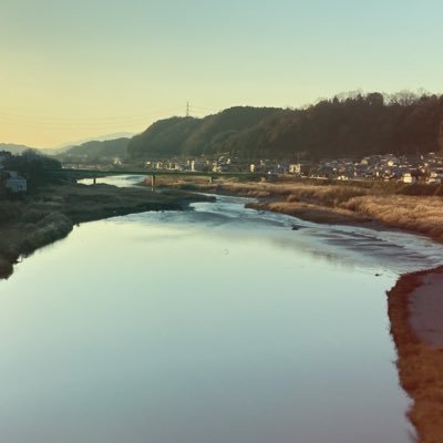 THISISYOSHINO's profile picture. フォロバ77%