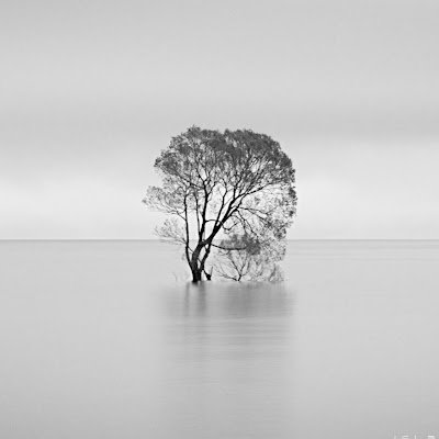 FujiFilm GFX 100S shooter
Enlaps TikeePro2 Ambassador
🏆2018 & 2017 NZ Geographic time-lapse photographer of the year