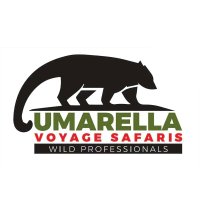 Umarella Voyage Safaris(@UmarellaS) 's Twitter Profile Photo