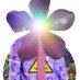NatureRunsWild (@naturerunswild) Twitter profile photo NatureRunsWild (@naturerunswild) Twitter profile photo