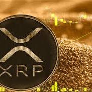 Welcome to the offshoot of the #XRPCommunity on Twitter. This is all about #Ripple #XRP