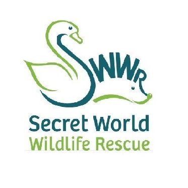Secret World Wildlife Rescue operates in the South West. If you need to contact us about an animal in distress call 01278 783 250 8am-8pm 365 days a year.