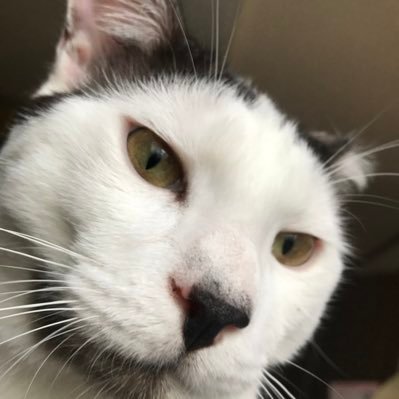 0XweKGJuFTWsrzW's profile picture. 