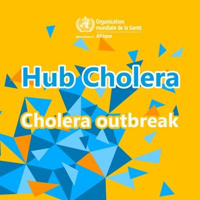 Le hub choléra de L'OMS est le centre de contrôle des actions de lutte contre le Choléra en Afrique.