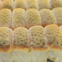 Christie the Baker (@christiebakery) 's Twitter Profile Photo Christie the Baker (@christiebakery) 's Twitter Profile Photo