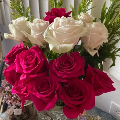 Bolyalbuja1's profile picture. 