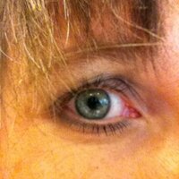 Elly Cools (@elcools) 's Twitter Profile Photo