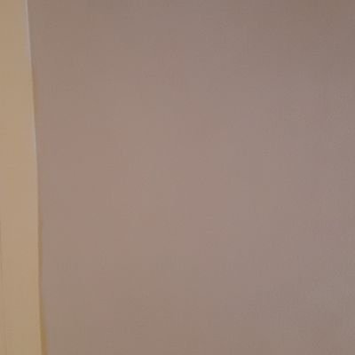 AnweshiBrahma's profile picture. This is Anweshi Brahma