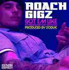 wats goin on stay tuned for updates on @roachgigz #GoombaRECORDS #mangomobb #teamroachgigz