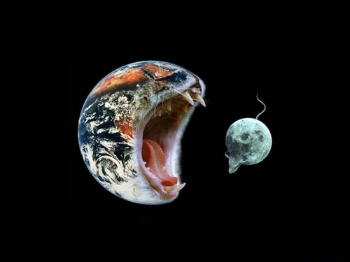 akomomozo's profile picture. 体が最低でもふたつ欲しい！