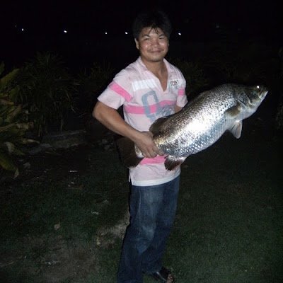 xu_pwng's profile picture. 