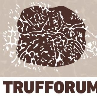 Trufforumofic's profile picture. #Trufforum💡 @europeanmico