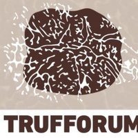 Trufforum official(@Trufforumofic) 's Twitter Profile Photo