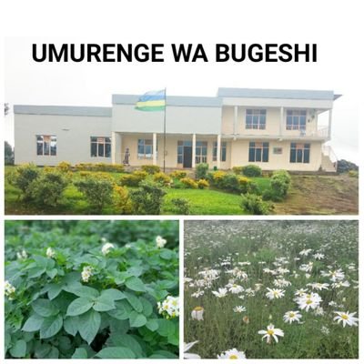 Ngwino urebe umurenge wa Bugeshi mw'iterambere, Ndi Umunyarwanda twayigize intego ahari ubushake byose birashoboka.