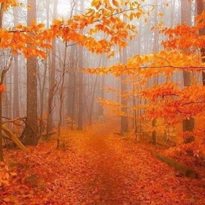 janeybeebarrett's profile picture. Believe in a fairer world. That’s it really.