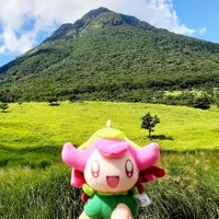 イーサン🐤 (@ethan0228) 's Twitter Profile Photo