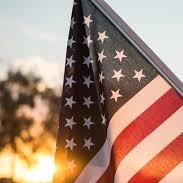 NetzelReitzel's profile picture. 