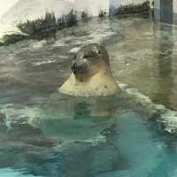 ぺこぽん (@poriporigongonz) Twitter profile photo