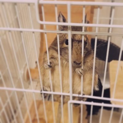 fy33s2ax3's profile picture. 絵描いてます