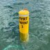 Myrtleville Swimmers (@myrtlevilles) Twitter profile photo Myrtleville Swimmers (@myrtlevilles) Twitter profile photo
