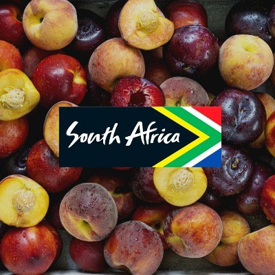 Beautiful fruit from a beautiful country, South Africa. Plums, peaches and nectarines in the UK winter. Apples and pears in the summer.