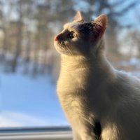 πΊπππππππππ (@selserene09) 's Twitter Profile