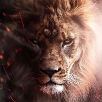 Aaron Agyeman ⭐⭐ (@kingkaijuaaa) 's Twitter Profile