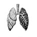 PCDresearch (@pcdresearch) Twitter profile photo PCDresearch (@pcdresearch) Twitter profile photo