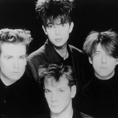 Bunnymen Daily