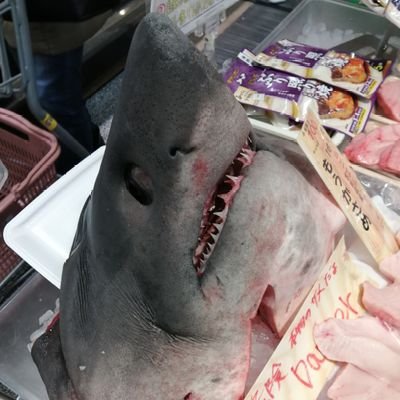 brpmqrMiAkrPrvQ's profile picture. 出川組
暗号資産、仮想通貨用垢
小遣いで細々と触ってます。
stepn
aglet
sweat coin